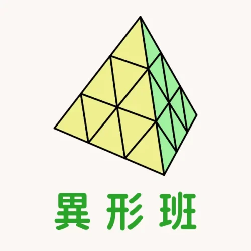 魔術方塊課程 - 異形班